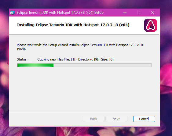 Screenshot of OpenJDK installer